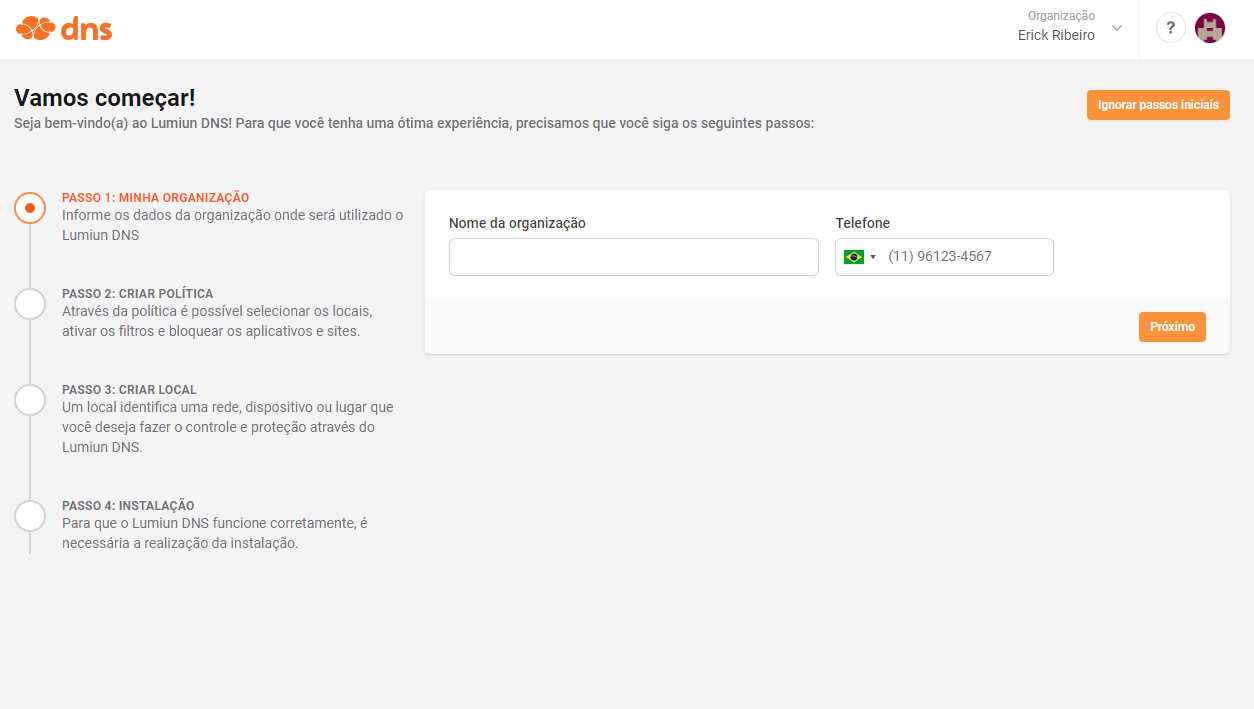 Passo 1: dados da organização no Lumiun DNS