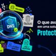 Protective DNS